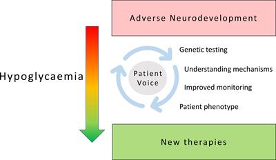 Editorial: The problem of childhood hypoglycaemia